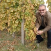 kutjevo-berba2011-10.jpg