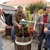 kutjevo-berba2011-2.jpg