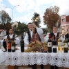 kutjevo-berba2011-8.jpg