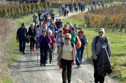 Kutjevačko Martinje 2014.