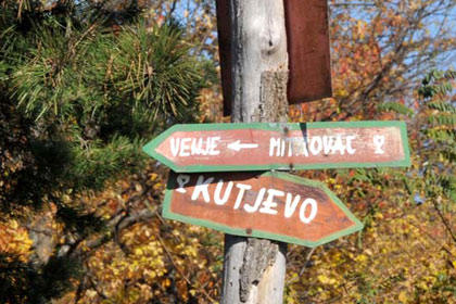 Kutjevačko Martinje 2015.