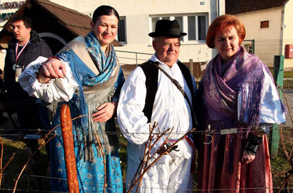 Kutjevačko Vincelovo 2016.