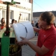 Tradicionalna berba grožđa 2013.