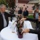 Tradicionalna berba grožđa na Trgu graševine 2015.