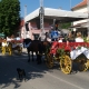 Festival graševine 2015.