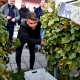 Članovi udruge “Kutjevački vinari” obilježili završetak vinogradarske godine