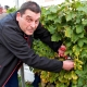 Članovi udruge “Kutjevački vinari” obilježili završetak vinogradarske godine