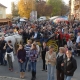 Kutjevačko Martinje 2011.