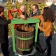 Održana tradicionalna berba grožđa na Trgu graševine u Kutjevu