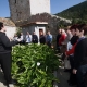 Kutjevački vinari na Visu
